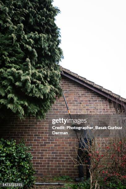 Tree Overhang Tree Overhang Photos and Premium High Res Pictures - Getty Images