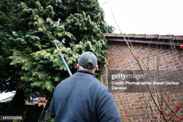 a tree cutter trims down the tree branches that overhang the roof of a brick building - tree pruning stock pictures, royalty-free photos & images