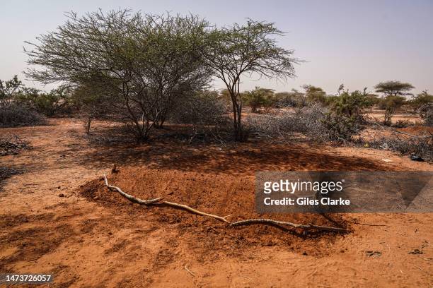 Freshly created grave near an IDP settlement in the scrubland on January 15,2023 near Doolow in western Somalia.