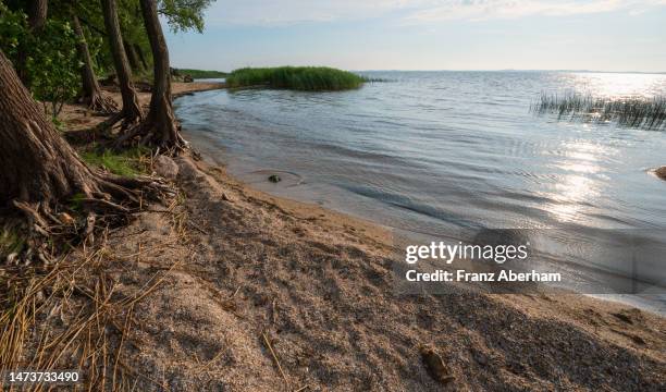 Sceronian Rocks 89 Curonian Lagoon Stock Photos, High-Res Pictures, and Images - Getty ...