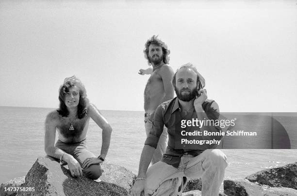 The Bee Gees pose on rocks overlooking the ocean in Florida in 1979.