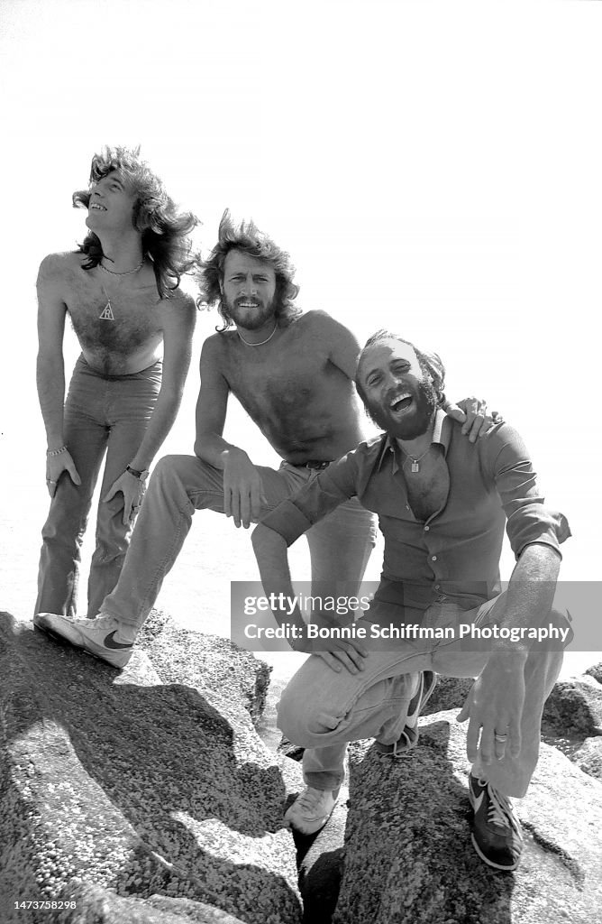 Portrait Of The Bee Gees