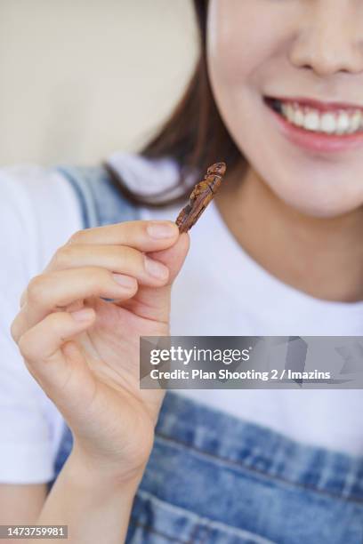 Woman Eating Insect 62 Woman Eating Insects Stock Photos, High-Res Pictures, and Images ...