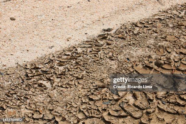 dry season in amazon region, brazil - seca - fotografias e filmes do acervo