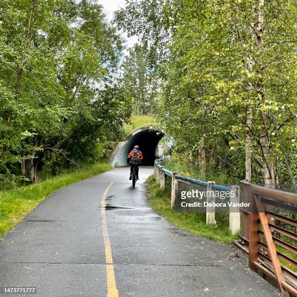 アラスカ州アンカレッジのトニーノウルズ公園の自転車乗りは、良い一日を楽しんでいます - アンカレッジ ストックフォトと画像