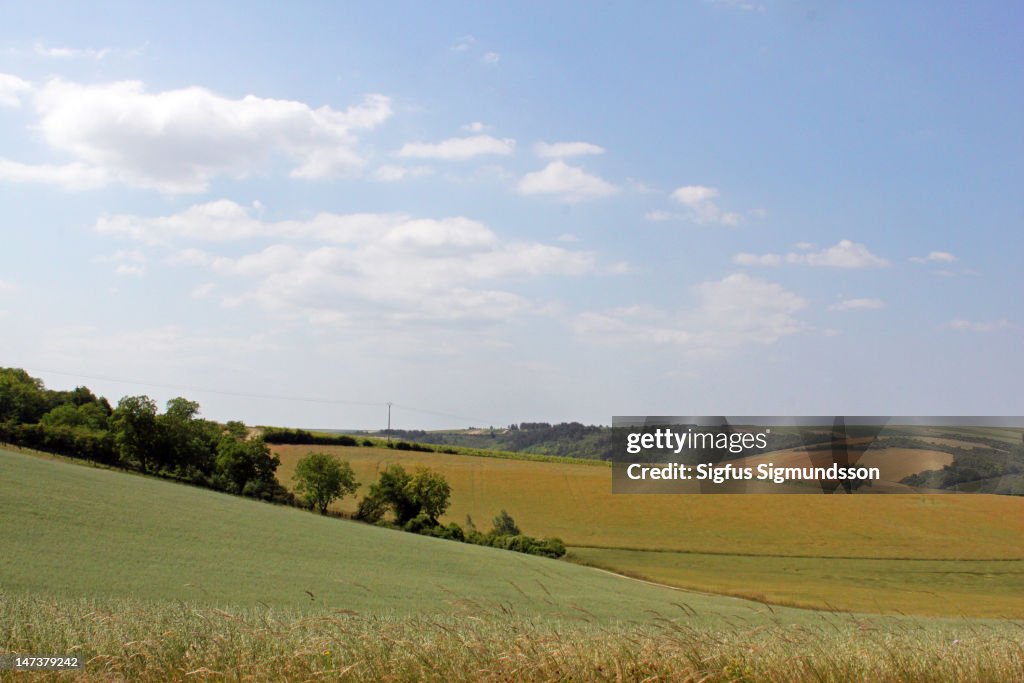 Burgundy landscape