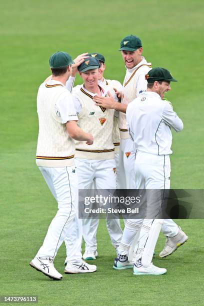 Jordan Silk of the Tigers takes the catch to dismiss Gurinder Sandhu during the Sheffield Shield match between Tasmania and Queensland at Blundstone...