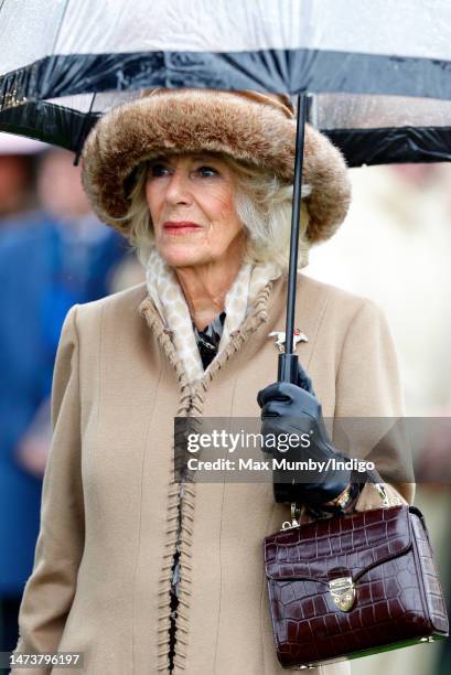 Camilla, Queen Consort shelters under an umbrella as she attends day 2 'Festival Wednesday' of the Cheltenham Festival at Cheltenham Racecourse on...