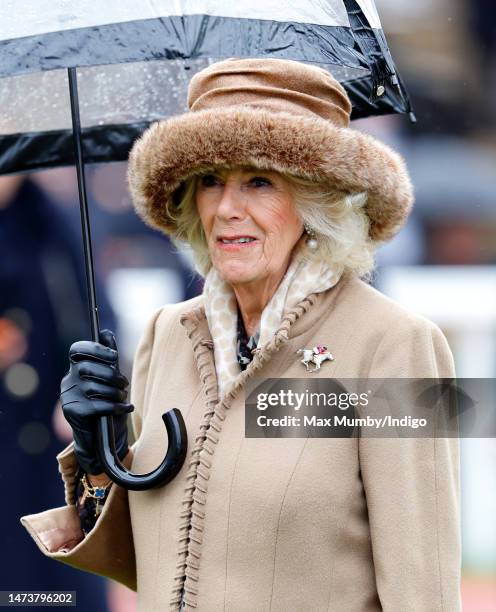 Camilla, Queen Consort shelters under an umbrella as she attends day 2 'Festival Wednesday' of the Cheltenham Festival at Cheltenham Racecourse on...