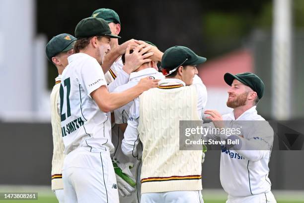 Iain Carlisle of the Tigers is congratulated by teammates on his first wicket for Tasmania during the Sheffield Shield match between Tasmania and...