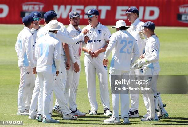 Chris Tremain of NSW celebrates with team mates after bowling out Daniel Drew of the Redbacks for 85 runs during the Sheffield Shield match between...