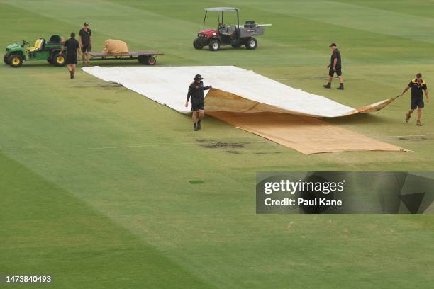 Grounds staff place covers over the wicket area area as light rain falls during the Sheffield Shield match between Western Australia and Victoria at...