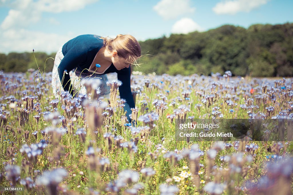 Woman picking flowers in field