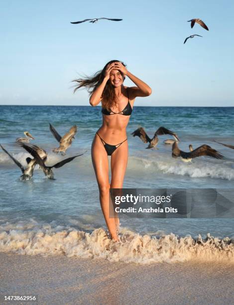 girl and pelicans - cancun beautiful stock pictures, royalty-free photos & images