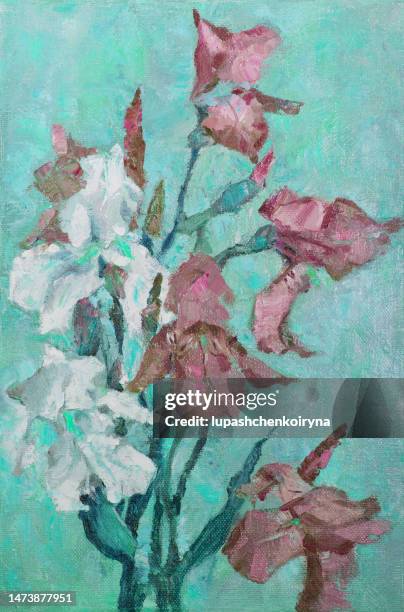 illustration artwork oil painting flowers  landscape blooming white and red irises - vintage modern stock illustrations