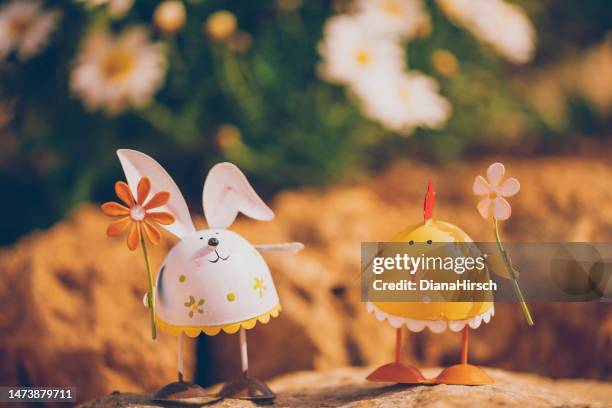 sweet close up of an retro easter bunny and easter cock holding a flower in a bloomy garden - easter bunny man stockfoto's en -beelden