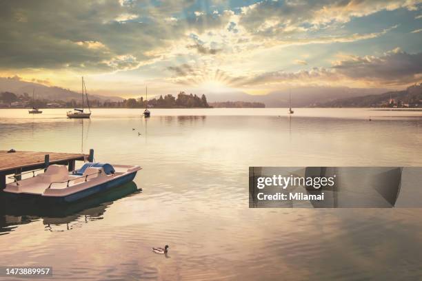 sailboats, birds, lake woerthersee and mountains at misty sunrise - ヴェルターゼー ストックフォトと画像