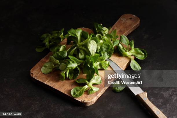 studio shot of lamb's lettuce on cutting board - mache stock pictures, royalty-free photos & images