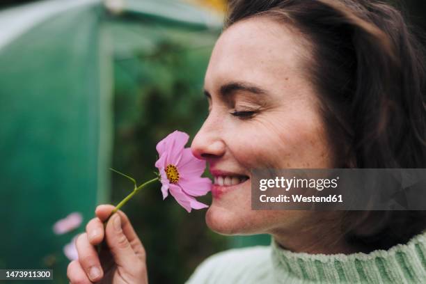 happy woman smelling pink flower - odorat photos et images de collection