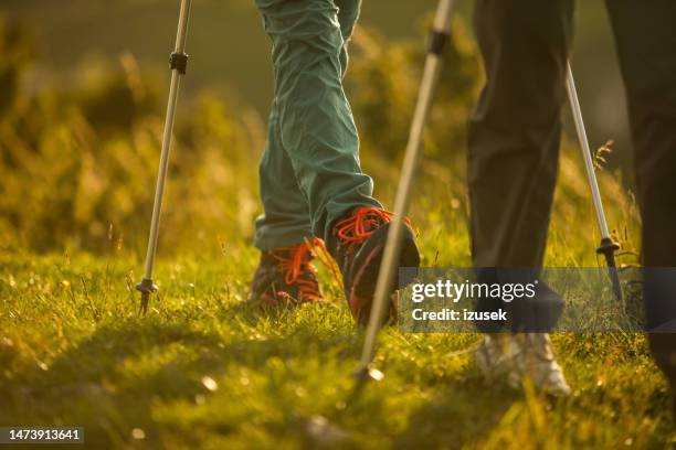 women hiking outdoors in nature - nordic walking autumn stock pictures, royalty-free photos & images