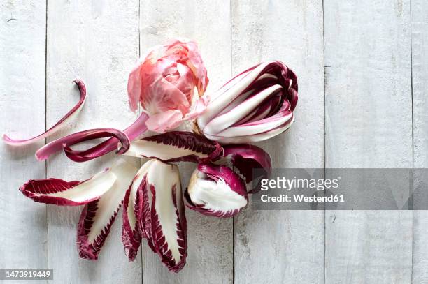 rawradicchio lying on white wooden surface - radicchio stock pictures, royalty-free photos & images