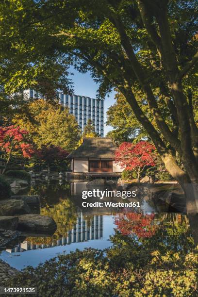 germany, hamburg, pond and japaneseteahouseinplantenunblomenpark - japanese garden stock pictures, royalty-free photos & images