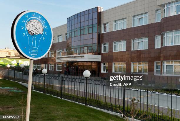 Road sign depicting brain inside a light bulb rises in front of Technology Support Centre in Akademgorodok, some 30 km outside the Siberian city of...