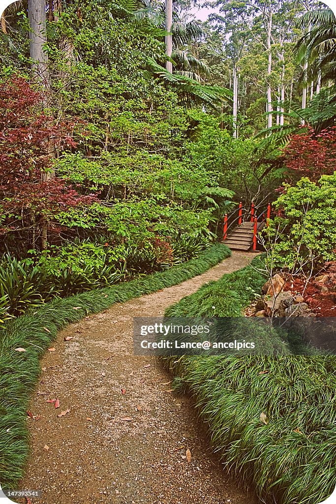 Japanese bridge and path.