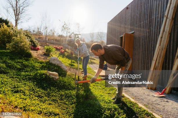 preparing our yard for new plants - pick axe stock pictures, royalty-free photos & images