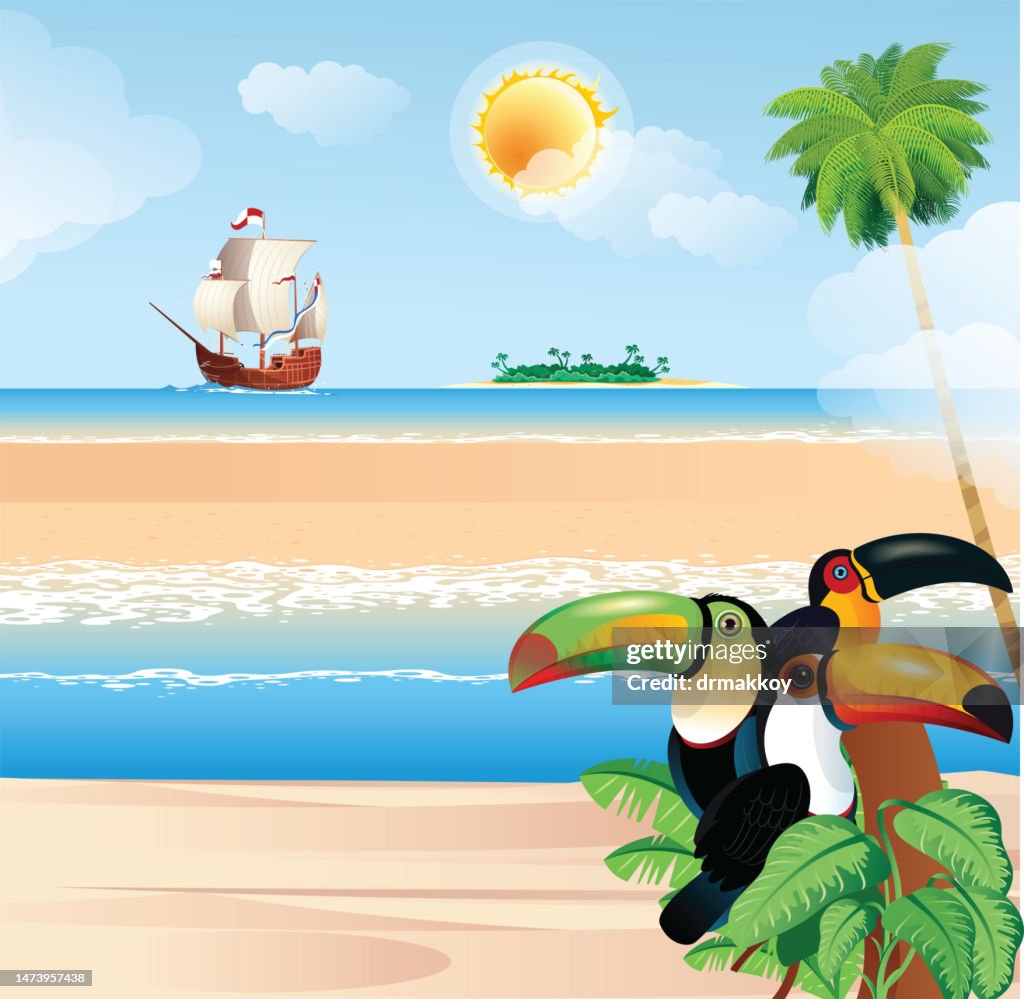 Toucans on the Beach