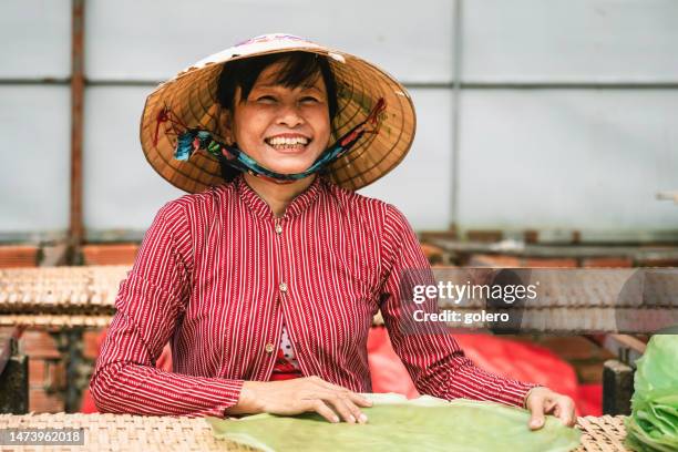 portrait of happy vietnamese woman in rice noodle manufacture - vietnamesisk kultur bildbanksfoton och bilder