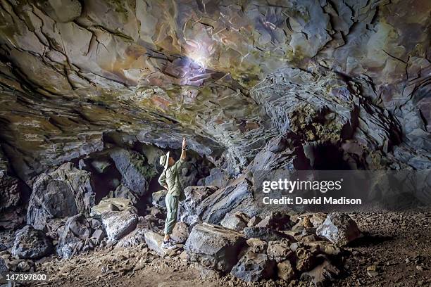 woman shining flashlight on prehistoric paintings. - pintura rupestre fotografías e imágenes de stock
