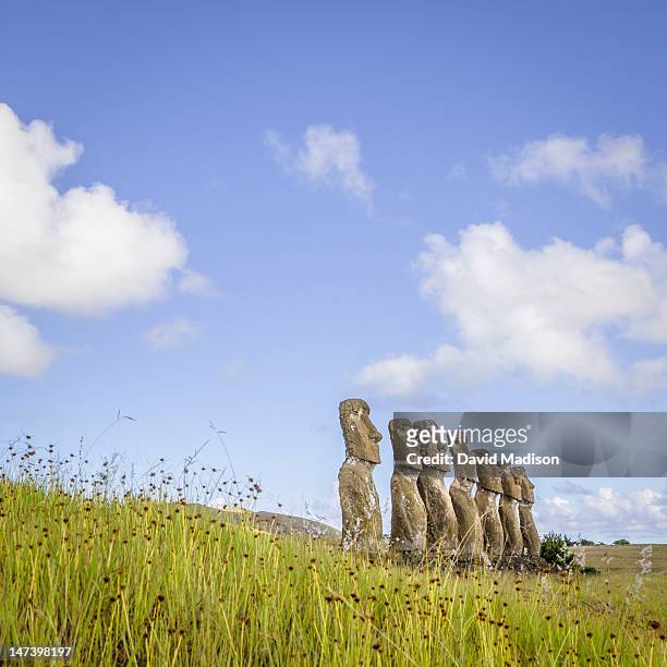 moai statues at ahu akivi, easter island. - 101628 stock pictures, royalty-free photos & images