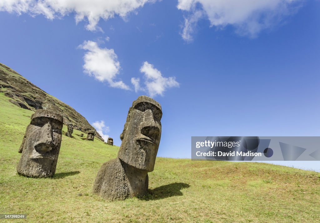 Moai statues at Rano Raraku, the Moai quarry.