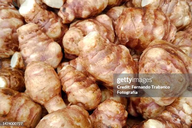 jerusalem artichoke backgrounds - jerusalem artichoke stock pictures, royalty-free photos & images