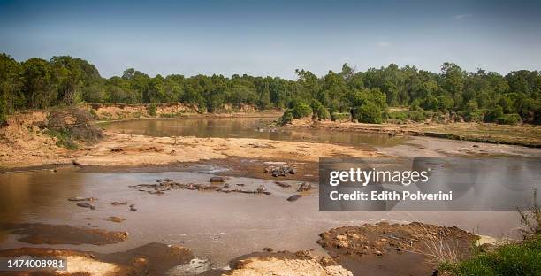 Tiji Rivers 6,755 Kenya River Stock Photos, High-Res Pictures, and Images - Getty ...