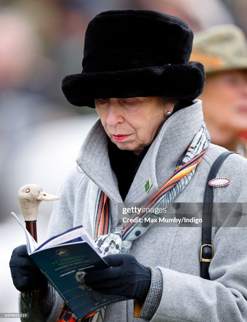 VIPs Attend The Cheltenham Festival - St Patrick's Thursday