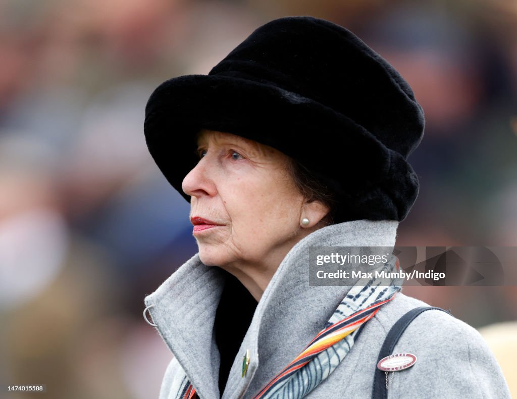 VIPs Attend The Cheltenham Festival - St Patrick's Thursday