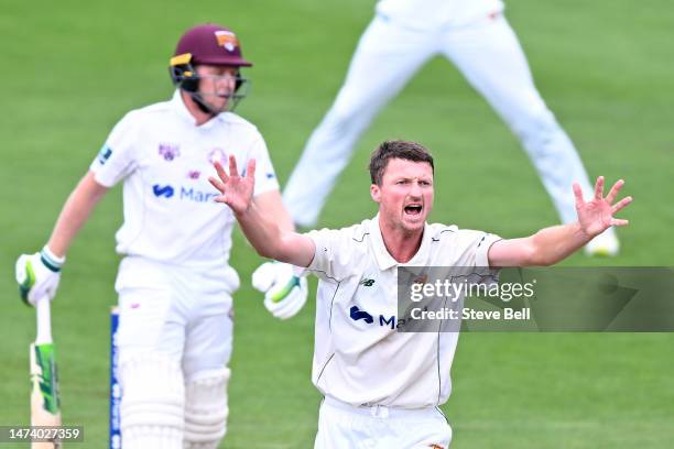 Jackson Bird of the Tigers appeals during the Sheffield Shield match between Tasmania and Queensland at Blundstone Arena, on March 17 in Hobart,...