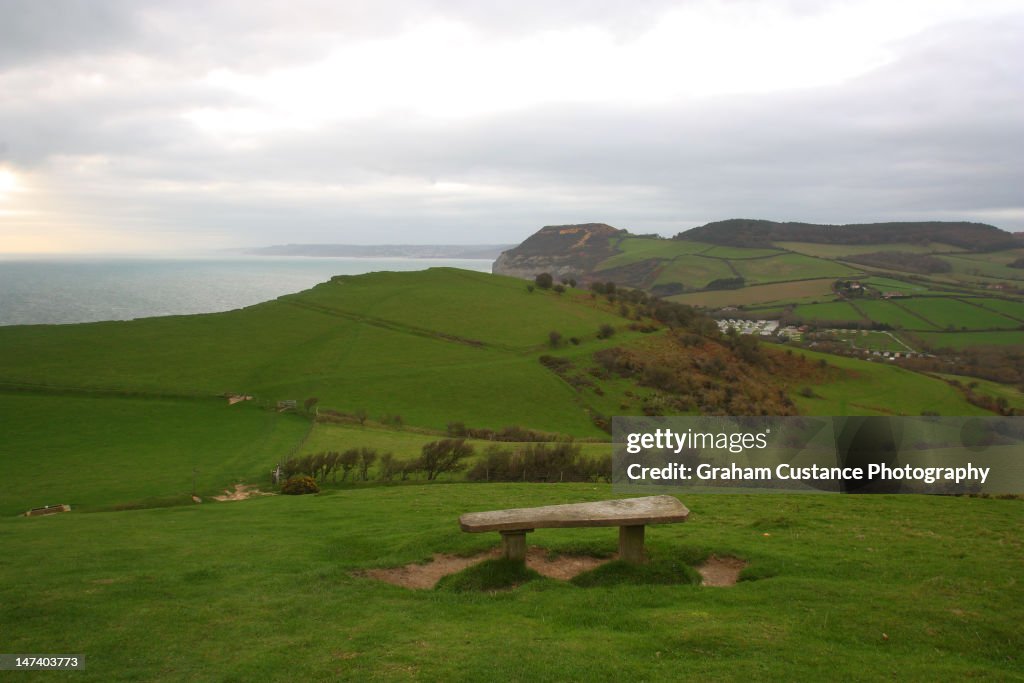 Bench on Dorset coastal hills