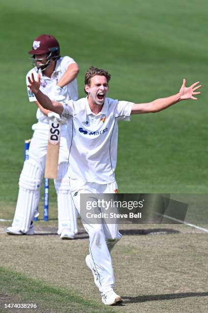 Lawrence Neil-Smith of the Tigers appeals for the wicket of Joe Burns of the Bulls during the Sheffield Shield match between Tasmania and Queensland...