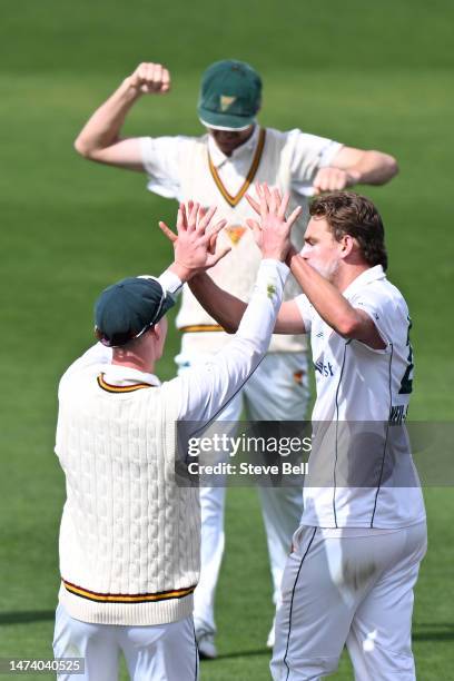 Lawrence Neil-Smith of the Tigers celebrates the wicket of Joe Burns of the Bulls during the Sheffield Shield match between Tasmania and Queensland...