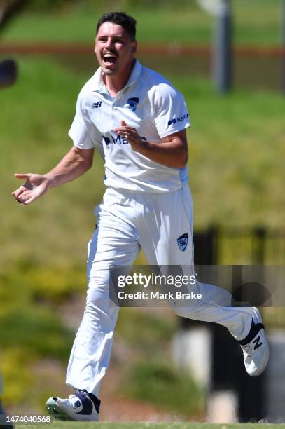 Ben Dwarshuis of the Blues celebrates the wicket of Henry Hunt of the Redbacks during the Sheffield Shield match between South Australia and New...