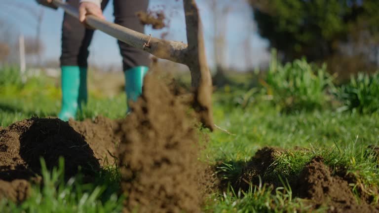 Digging Back In 227 Dig Hole Background Stock Videos, Footage, & 4K Video Clips - Getty ...