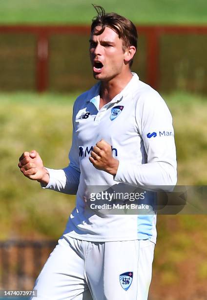 Chris Green of the Blues celebrates the wicket of Jake Lehmann of the Redbacks during the Sheffield Shield match between South Australia and New...