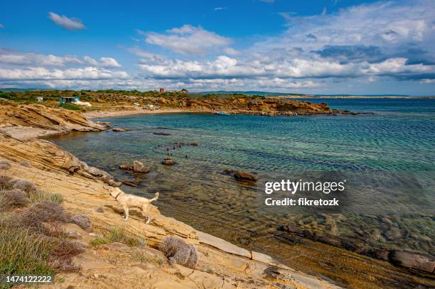 remains of landing craft and fisherman's shelter in suvla bay - anzac stock pictures, royalty-free photos & images