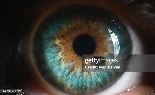 Close up do olho humano verde na técnica de pouca luz Close up do olho humano verde na técnica de pouca luz