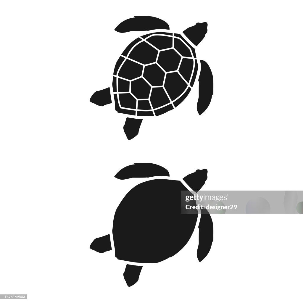 Icône de tortue de mer.