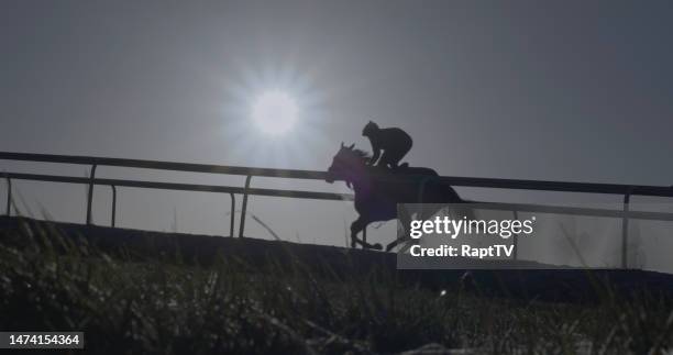 All Weather Horse Racing Photos and Premium High Res Pictures - Getty ...