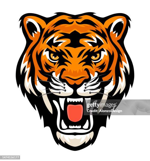 tiger fury. roaring tiger head. mascot creative design. - tiger image tattos stock illustrations